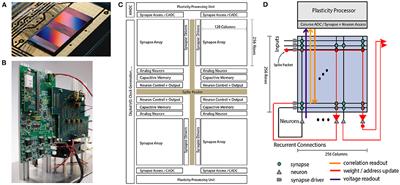 The BrainScaleS-2 Accelerated Neuromorphic System With Hybrid Plasticity